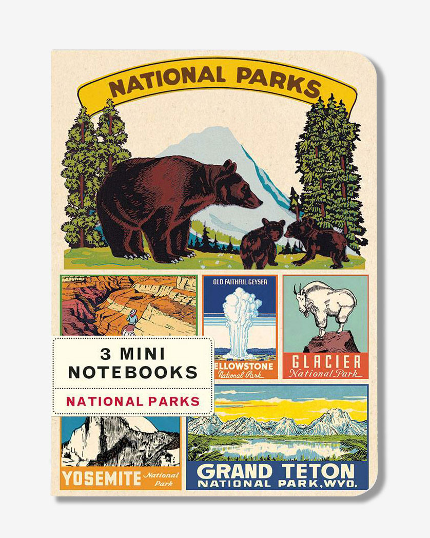mini notbooks