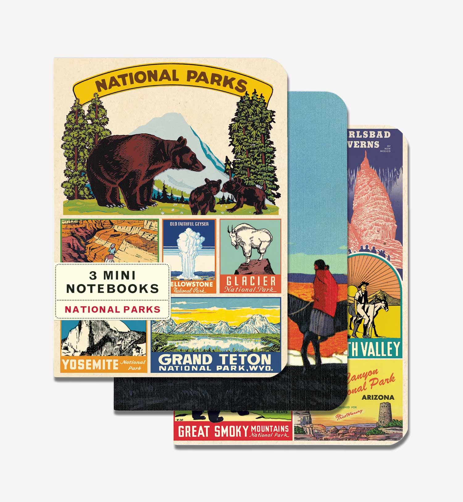 cavallini notebooks