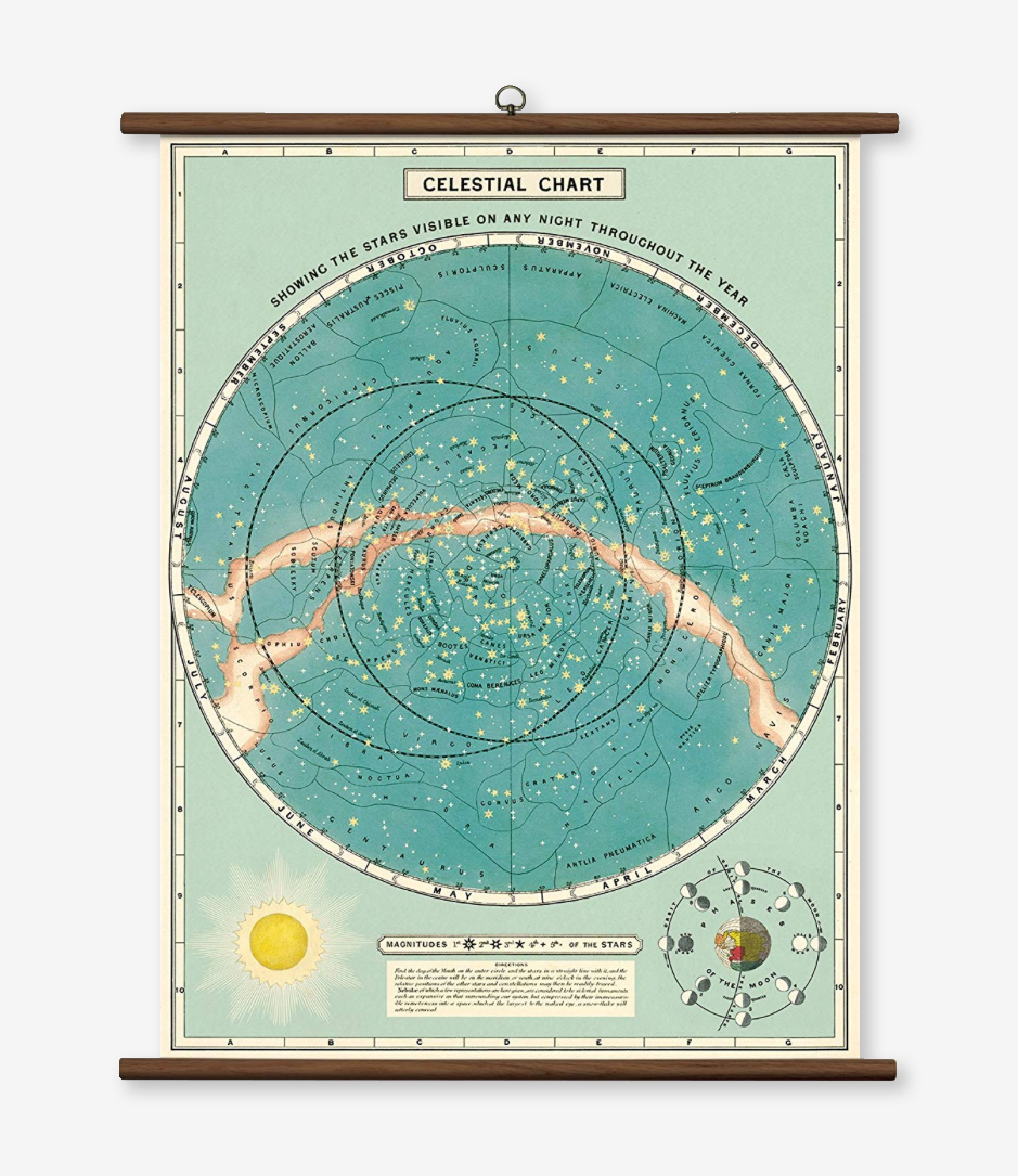 cavallini vintage school chart