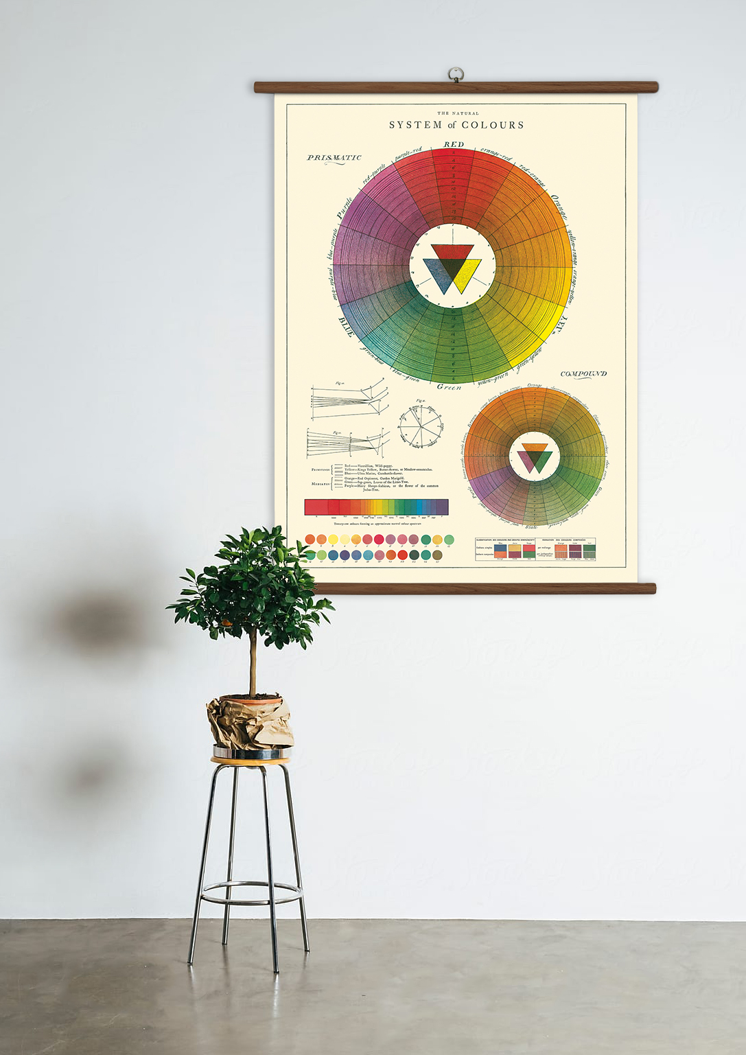 cavallini vintage school chart