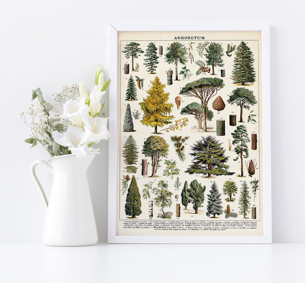 cavallini tree wrap
