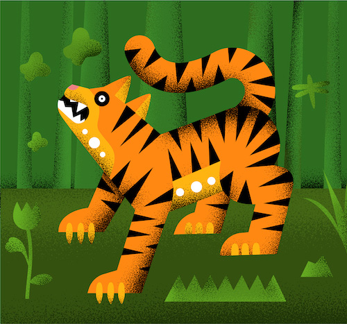 tiger drawing