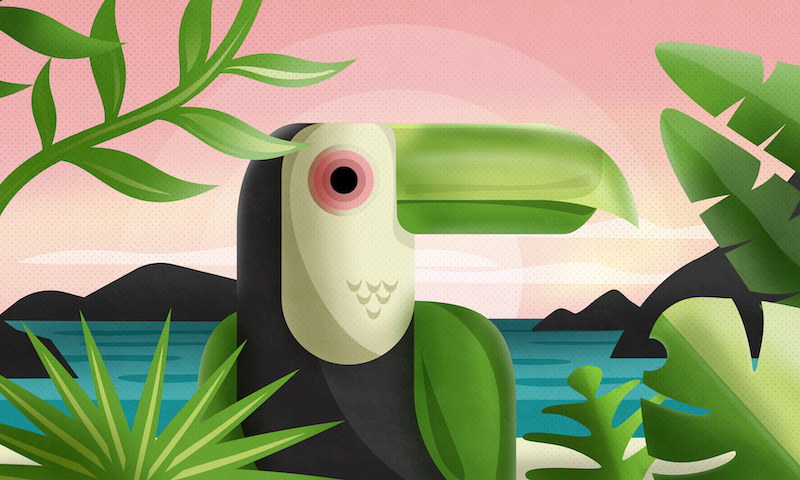 tucan drawing